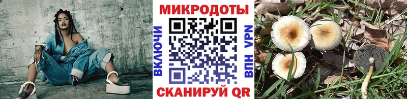 магазин продажи   Кисловодск  Псилоцибиновые грибы мицелий 