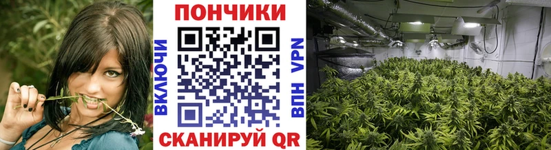 закладки Кисловодск Марихуана Ganja